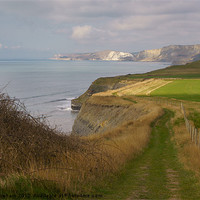 Buy canvas prints of South West Coast Path 3 by Phil Wareham