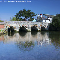 Buy canvas prints of River Avon at Christchurch by Phil Wareham