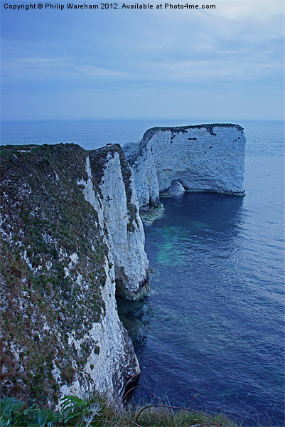 Old Harry Headland at Dawn Picture Board by Phil Wareham