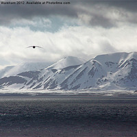Buy canvas prints of Flying in the Arctic by Phil Wareham