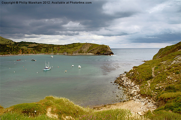 Lulworth Cove Picture Board by Phil Wareham