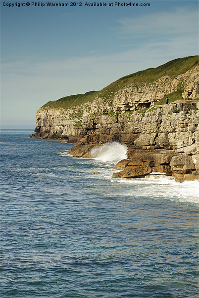 Winspit Cliffs Picture Board by Phil Wareham