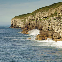 Buy canvas prints of Winspit Cliffs by Phil Wareham