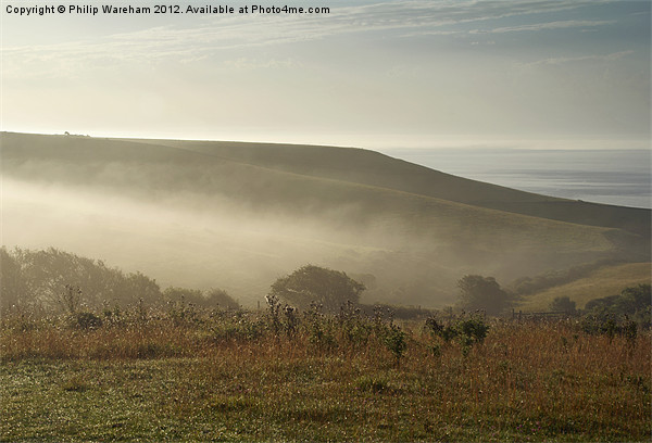 Mist in the valley Picture Board by Phil Wareham