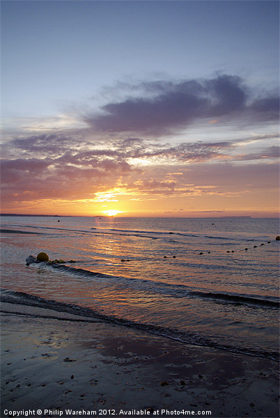 Sunrise over Poole Bay Picture Board by Phil Wareham