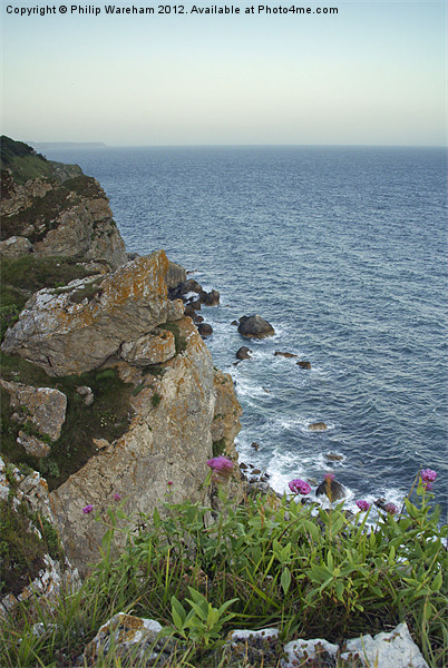Cliffs at Dungy Head Picture Board by Phil Wareham