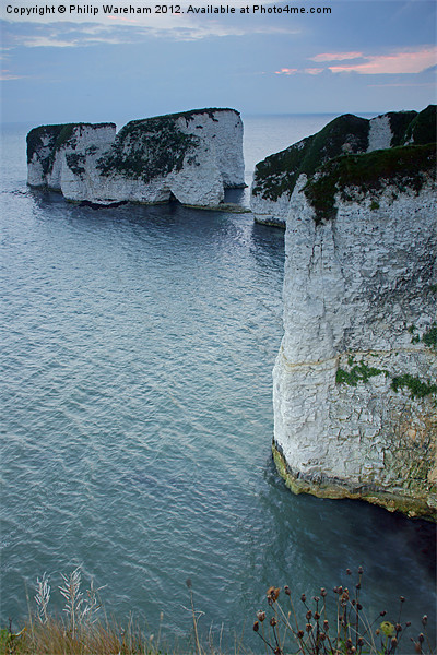 Early at Old Harry Picture Board by Phil Wareham