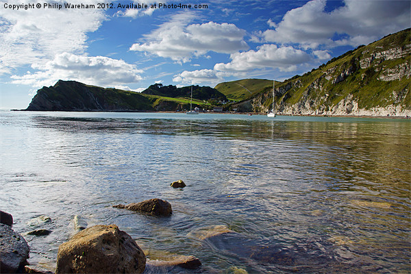 Across Lulworth Cove Picture Board by Phil Wareham