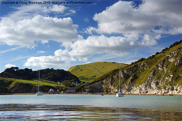 Lulworth Cove Picture Board by Phil Wareham
