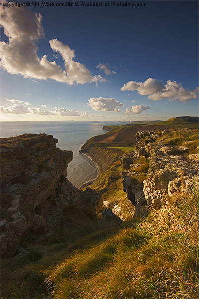 West from Houns-Tout Cliff Picture Board by Phil Wareham
