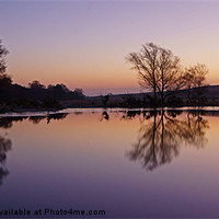 Buy canvas prints of Whitten Pond Burley by Phil Wareham