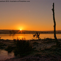 Buy canvas prints of New Forest Sunrise by Phil Wareham