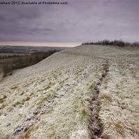 Buy canvas prints of Winter Hillside by Phil Wareham