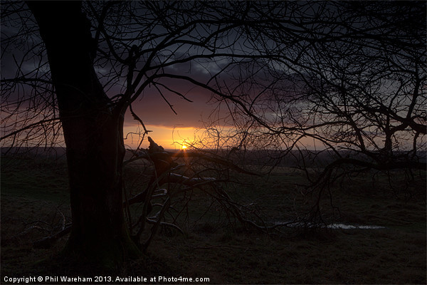Badbury Rings Sunrise Picture Board by Phil Wareham