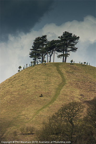 Trees on a hilltop Picture Board by Phil Wareham