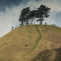 Buy canvas prints of Trees on a hilltop by Phil Wareham