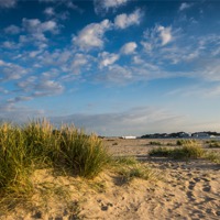 Buy canvas prints of Dunes at Shell Bay by Phil Wareham