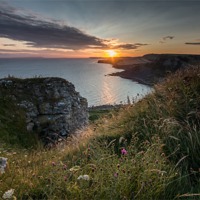 Buy canvas prints of Wild flowers at Sunset by Phil Wareham