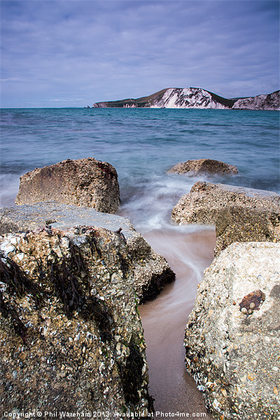 Rocks at Worbarrow Bay Picture Board by Phil Wareham