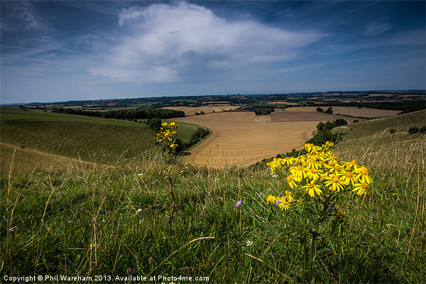 Donhead Hollow near Shaftesbury Picture Board by Phil Wareham