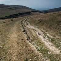 Buy canvas prints of The way to Winspit by Phil Wareham