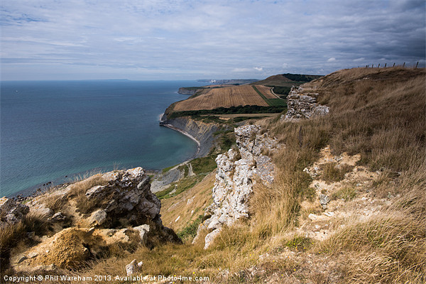 Jurassic Clifftop Picture Board by Phil Wareham