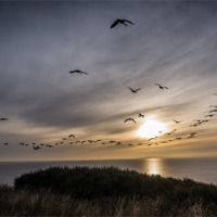 Buy canvas prints of Flying into the sunrise by Phil Wareham