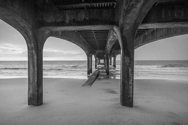 Under the pier Picture Board by Phil Wareham