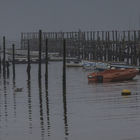 Buy canvas prints of Fog and the jetty by Phil Wareham