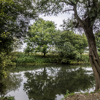 Buy canvas prints of Stour Valley Nature Reserve by Phil Wareham