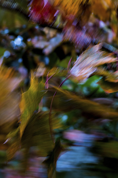 Autumn Abstract Picture Board by Phil Wareham