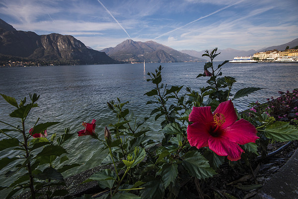 Lake Como Picture Board by Phil Wareham