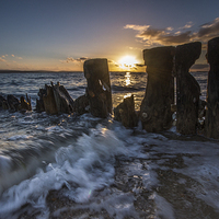 Buy canvas prints of Lepe Sunset by Phil Wareham