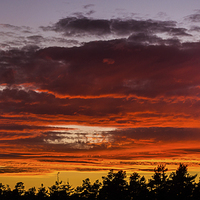 Buy canvas prints of Sunset from Deerleap by Phil Wareham