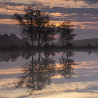 Buy canvas prints of Reflections on a pond by Phil Wareham