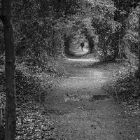 Buy canvas prints of Follow the path by Phil Wareham