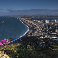 Buy canvas prints of  Chesil beach by Phil Wareham
