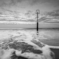 Buy canvas prints of  Branksome Black and White by Phil Wareham