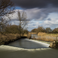 Buy canvas prints of The Mill Pond by Phil Wareham