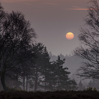 Buy canvas prints of  Sunrise over the New Forest by Phil Wareham