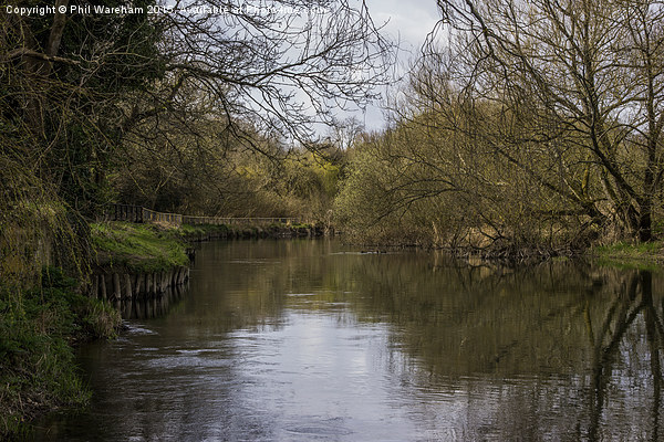  The Stour at Muscliffe Picture Board by Phil Wareham