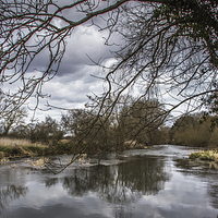Buy canvas prints of  River Stour Bournemouth by Phil Wareham