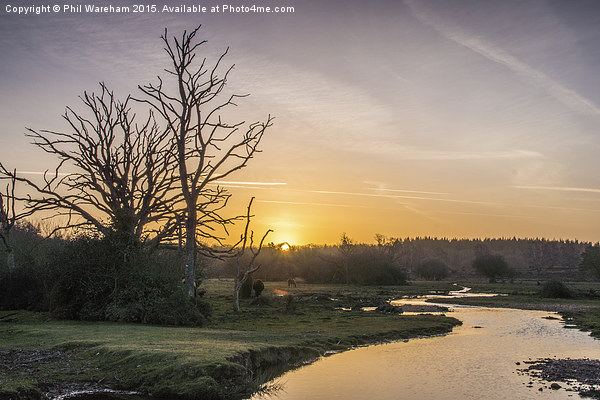  New Forest Sunrise Picture Board by Phil Wareham