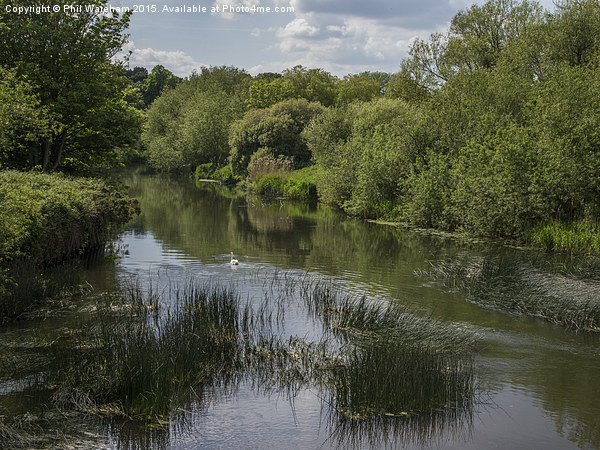  River Stour Picture Board by Phil Wareham