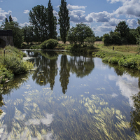 Buy canvas prints of  River Stour Blandford by Phil Wareham