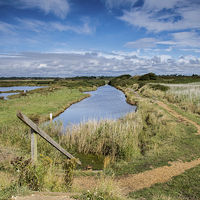 Buy canvas prints of  Pennington Marshes by Phil Wareham