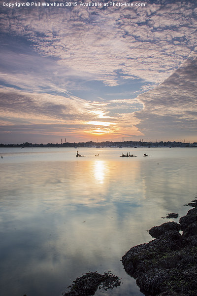  Holes Bay, Poole Harbour Picture Board by Phil Wareham