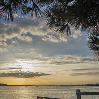 Buy canvas prints of Evening Hill, Poole Harbour by Phil Wareham
