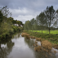 Buy canvas prints of  The Spetisbury Stour by Phil Wareham