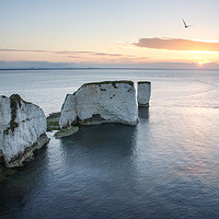 Buy canvas prints of Old Harry Dawn by Phil Wareham